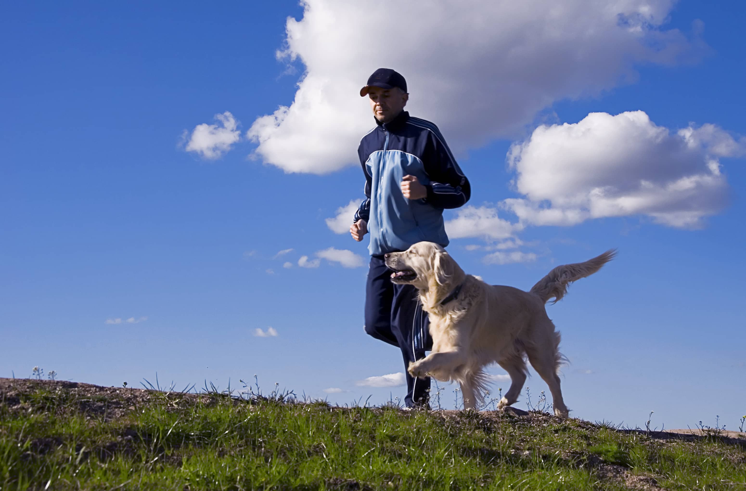 Homme et chien courant dans la nature