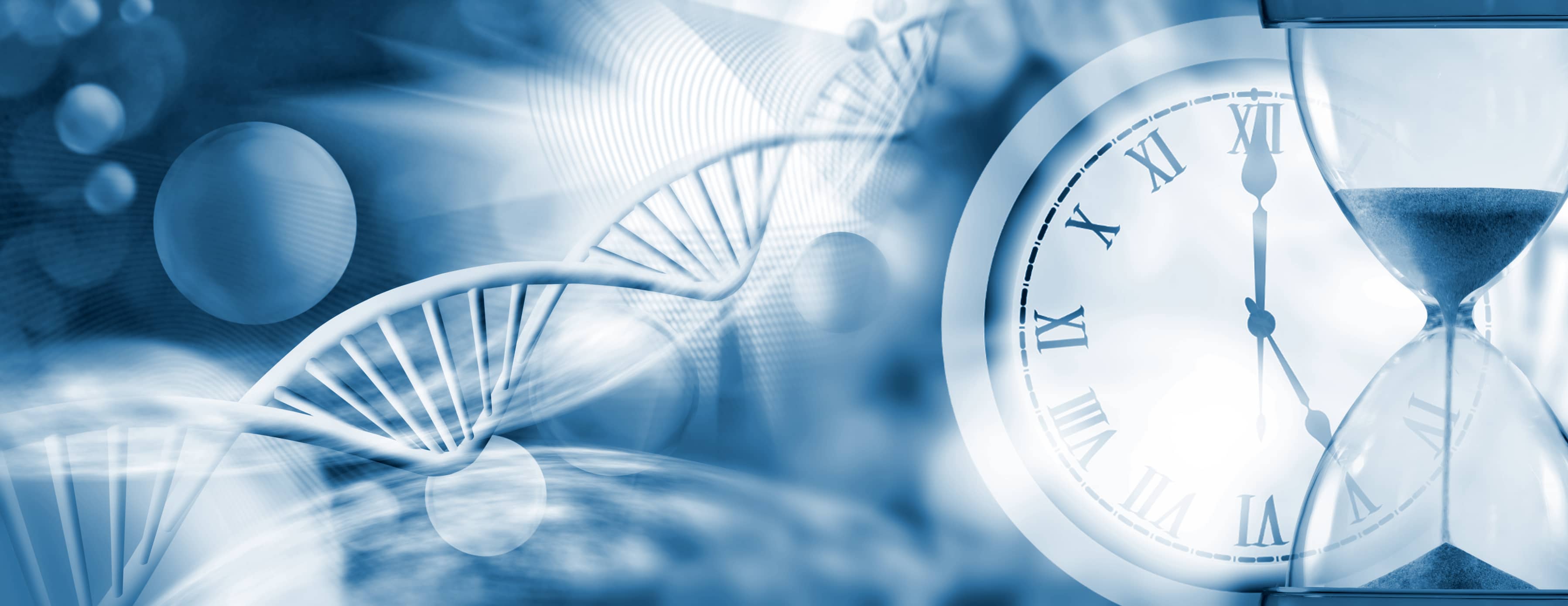 ADN et temps qui passe